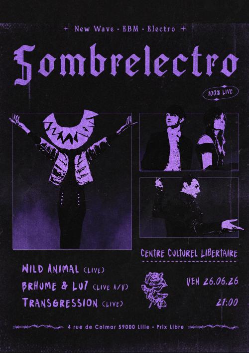 Sombrélectro