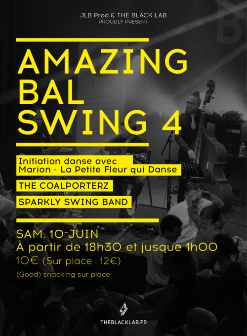Amazing Bal Swing au Black lab