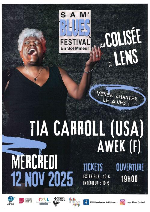 Le Sam’ Blues Festival en Sol Mineur fête ses 30 ans