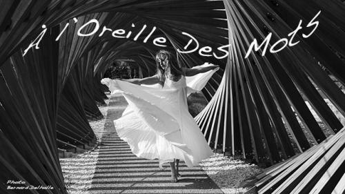 Le spectacle Danser à l’oreille des mots