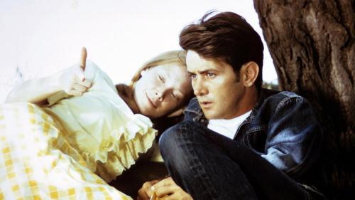 Ciné-concert sur « Badlands »