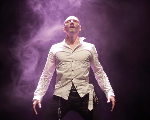 Canopée, le spectacle