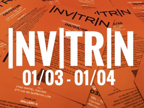 IN VITRIN, un parcours artistique à l’échelle de la ville de Lille