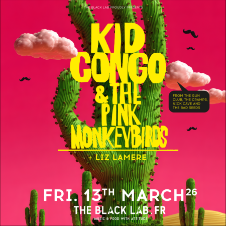 Kid Congo & The Pink Monkey Birds + Liz Lamere