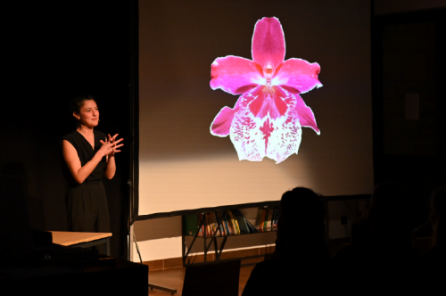 De la sexualité des orchidées