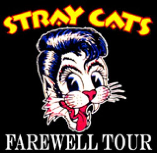 Stray Cats