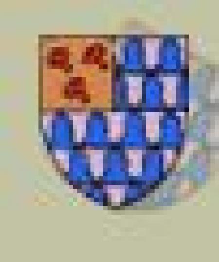 De Roos Cultuurzaal