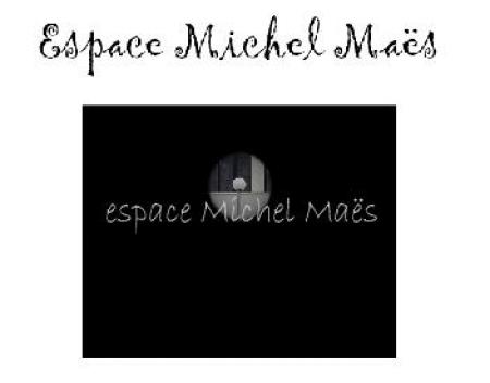 Espace Michel Maes