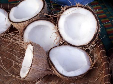 Coco Cabana