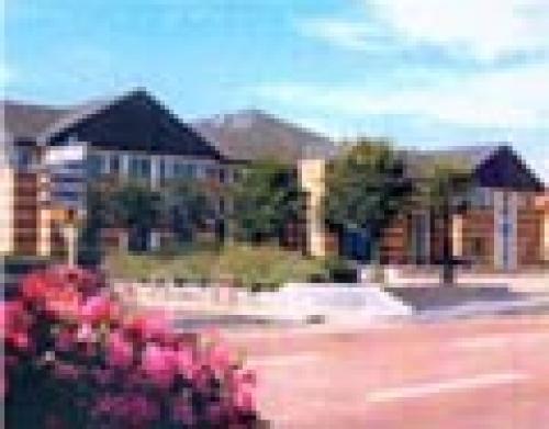 Les mains de Camille ou le temps de l’oubli