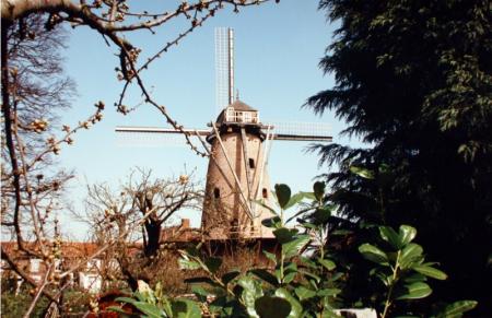 Moulin