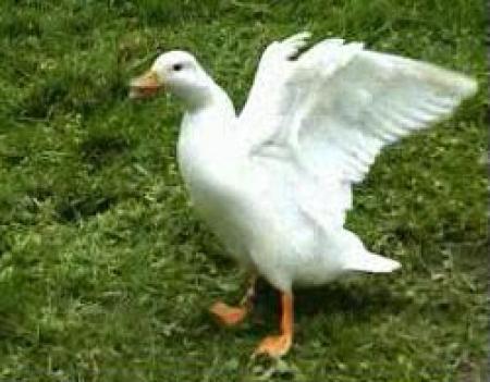 Clos de la Source (Le)