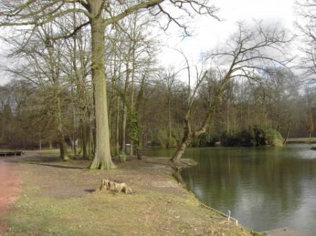 Park Olmenhof