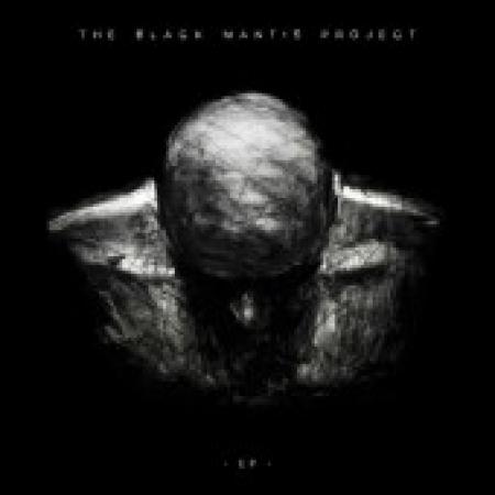 The Black Mantis Project