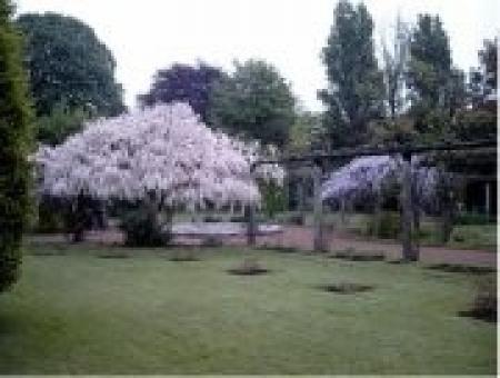 Jardin Botanique