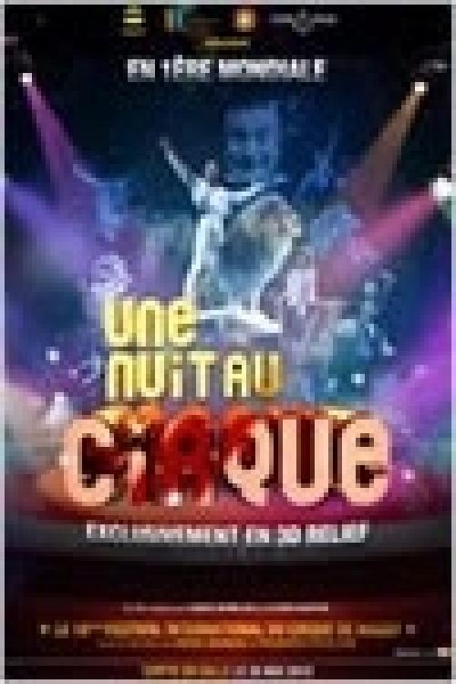 Une nuit au cirque