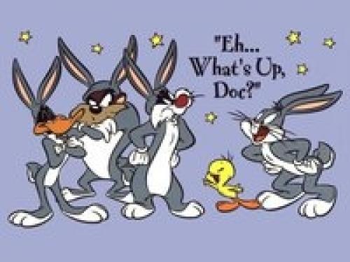 [FDM 11] What’s Up Doc ?