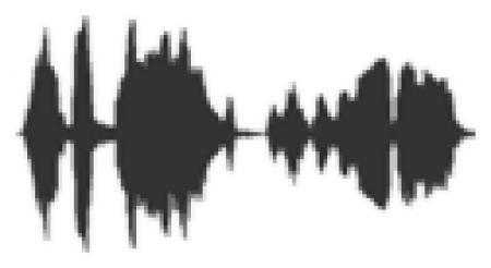 Polyphase Studio