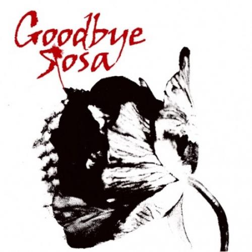 Goodbye Rosa + Bilbao