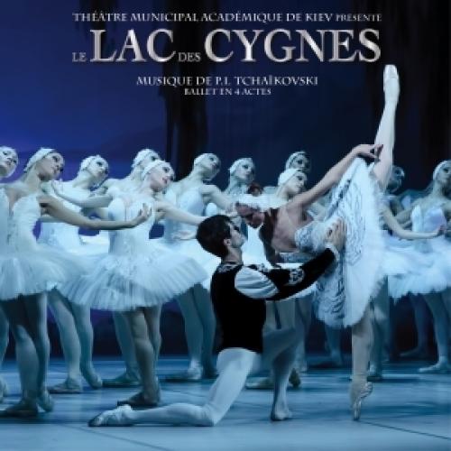 Le lac des cygnes
