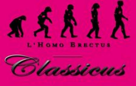 Homo Erectus Classicus