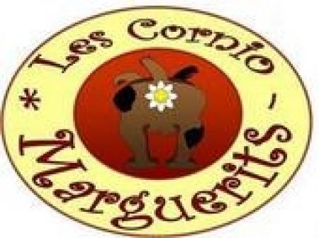 Cornio Marguerits (Les)
