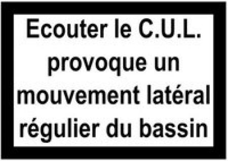 C.U.L (Collectif de Ukulele Lillois)