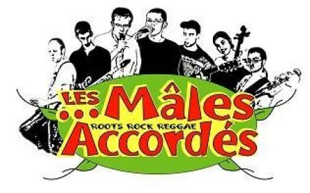 Mâles Accordés (Les)