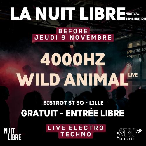 Before La Nuit Libre festival : 2ème édition