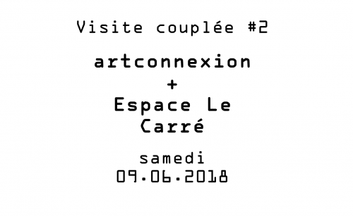 Visite couplée #2 – Artconnexion et Espace Le Carré