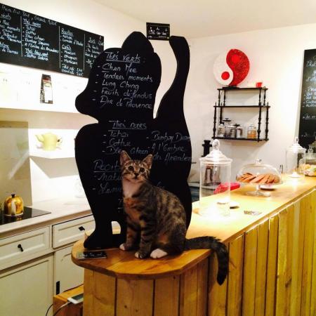 Au Chat Voir Vivre, le salon de thé lillois peuplé de chats