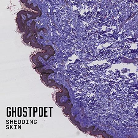 « Shedding Skin » de Ghostpoet