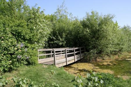 Jardin de Chlorophylle