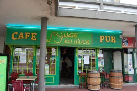 Un singe en hiver