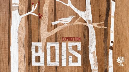 Bois, l’exposition au Colysée