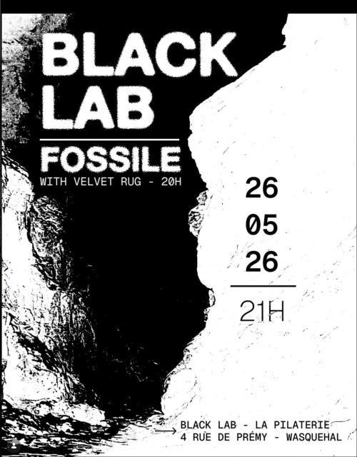 Fossile + Velvet Rug