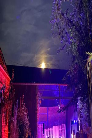 festival_visuel