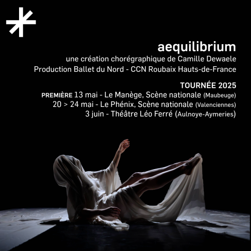 Aequilibrium, de Camille Dewaele