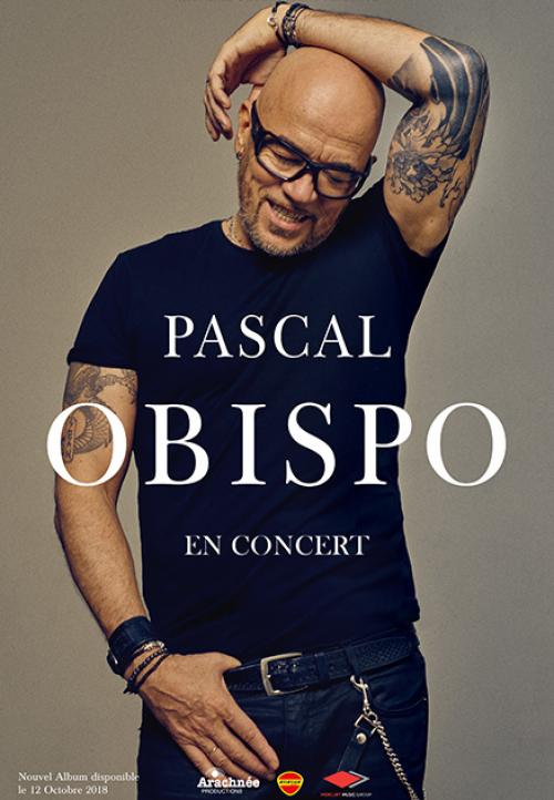 Pascal Obispo au Zénith