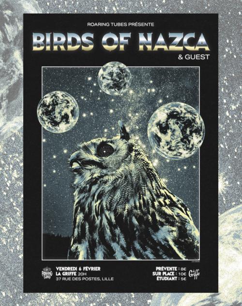 Birds of Nazca