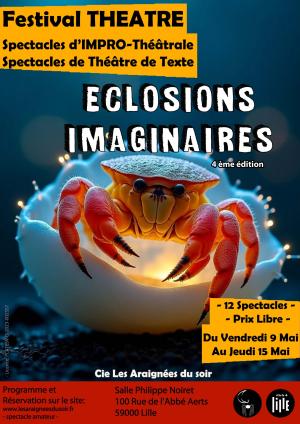 festival_visuel