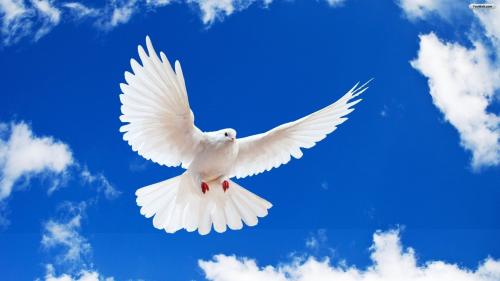 « De guerres et de paix », des textes puissants