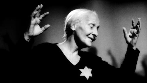 Hommage à Frederick Wiseman et Peter Watkins