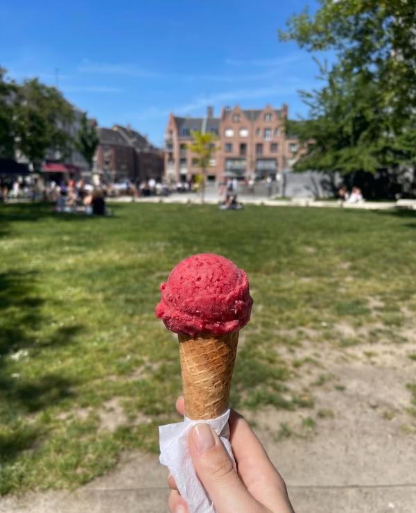 Où manger une bonne glace à Lille cet été ? Notre sélection des adresses les plus gourmandes