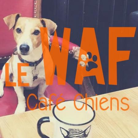 Le Café Chiens Le Waf a besoin de vous !