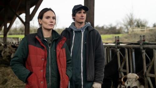 Printemps du Cinéma 2026 : 3 jours de cinéma à 5 € !