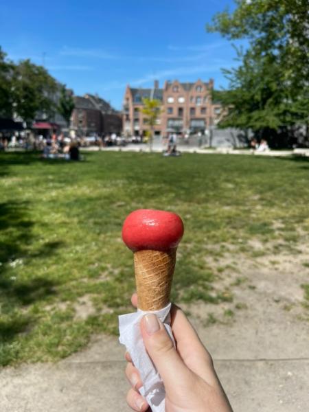 Les meilleures glaces à Lille : notre sélection !