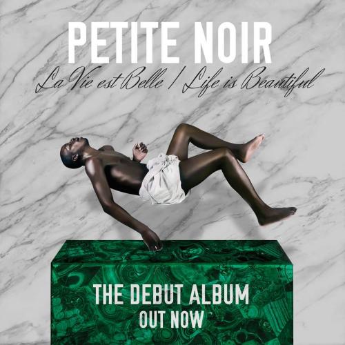 Petite noir + Grifon