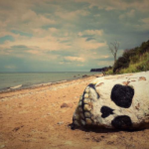 Quiz & blindtest « Summer 2025 » de Fab