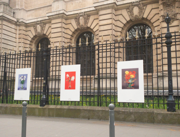 Des bons plans culturels pour les étudiants à Lille et dans la métropole !